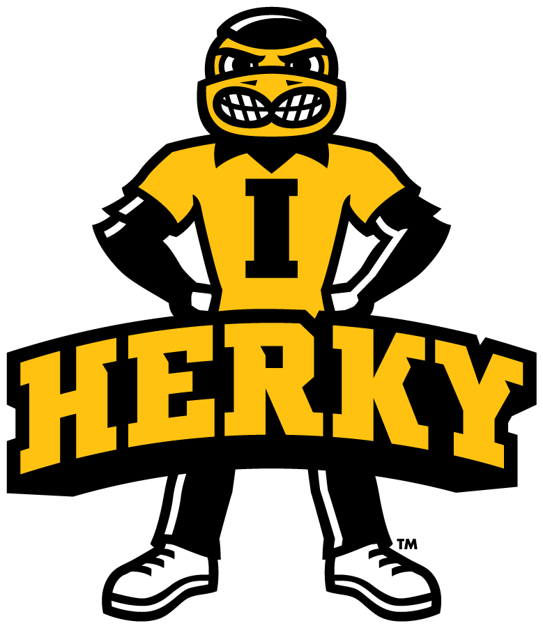 Iowa Hawkeyes 2013-Pres Mascot Logo diy iron on heat transfer